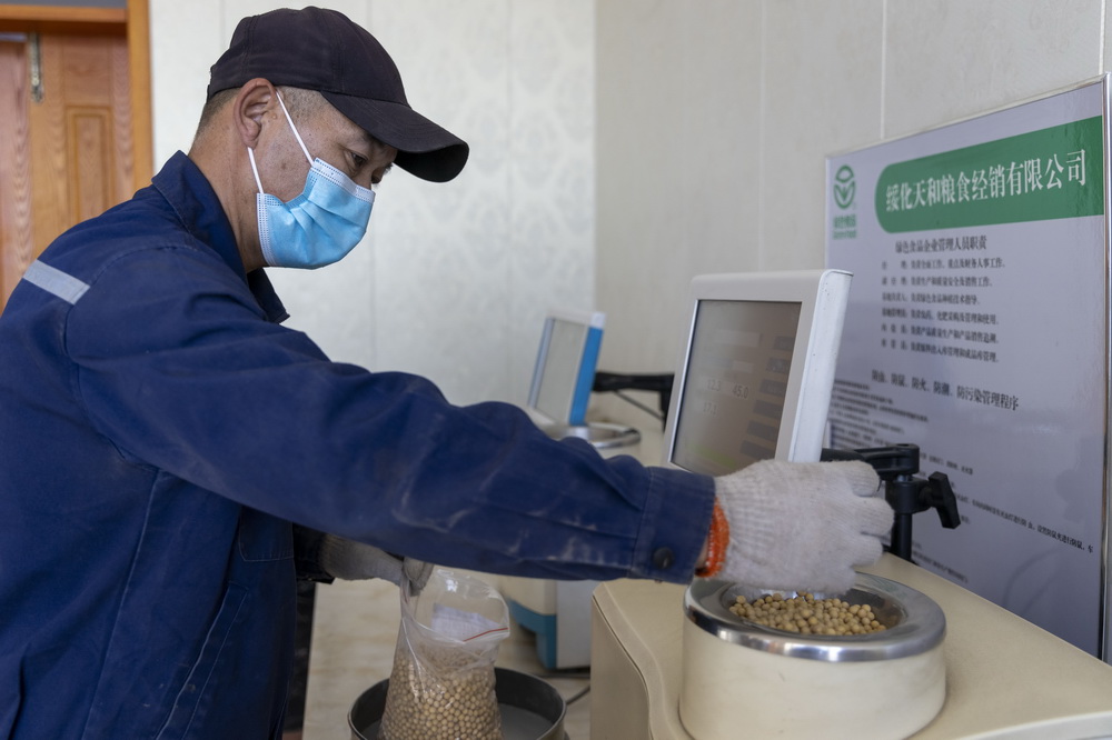 10月25日，检验员对大豆进行蛋白质含量检测。